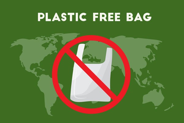 best reusable grocery bags online